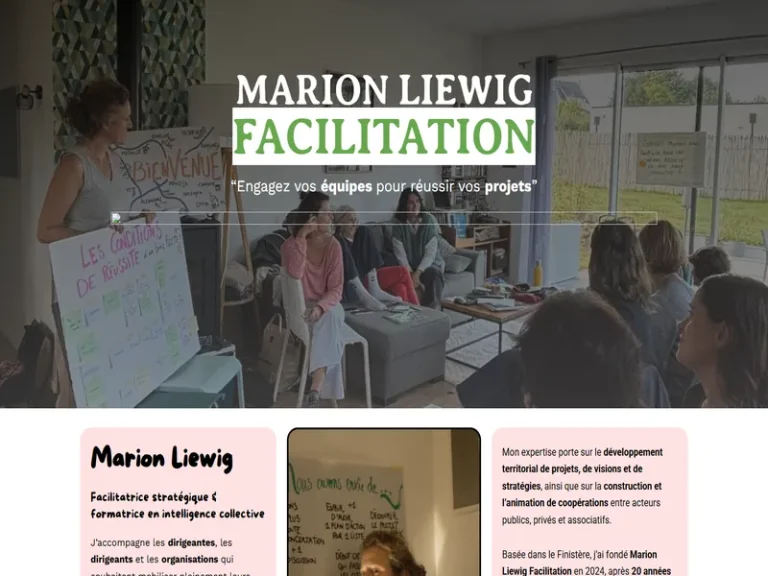 Marion Liewig Facilitation